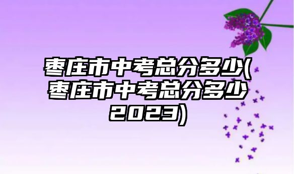 棗莊市中考總分多少(棗莊市中考總分多少2023)