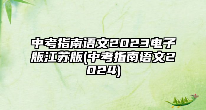 中考指南語(yǔ)文2023電子版江蘇版(中考指南語(yǔ)文2024)