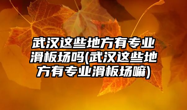 武漢這些地方有專業(yè)滑板場嗎(武漢這些地方有專業(yè)滑板場嘛)