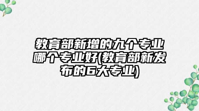 教育部新增的九個專業(yè)哪個專業(yè)好(教育部新發(fā)布的6大專業(yè))