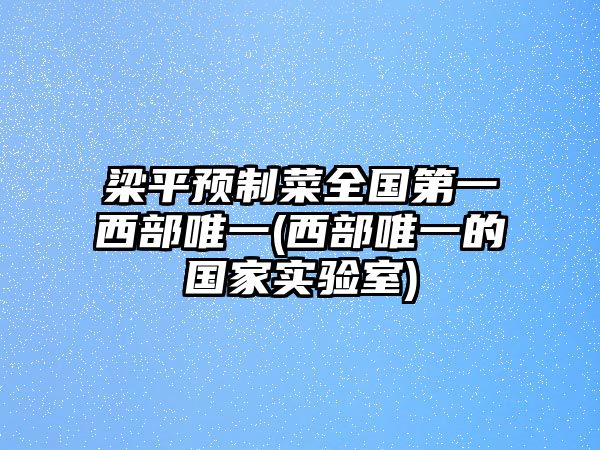 梁平預(yù)制菜全國(guó)第一西部唯一(西部唯一的國(guó)家實(shí)驗(yàn)室)