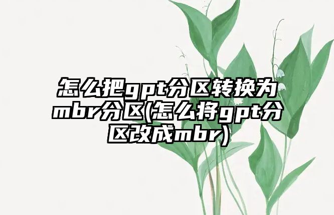 怎么把gpt分區(qū)轉換為mbr分區(qū)(怎么將gpt分區(qū)改成mbr)