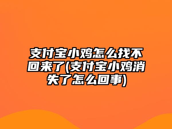 支付寶小雞怎么找不回來了(支付寶小雞消失了怎么回事)