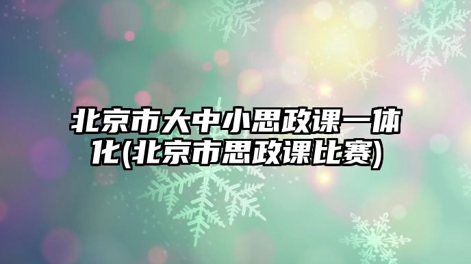 北京市大中小思政課一體化(北京市思政課比賽)