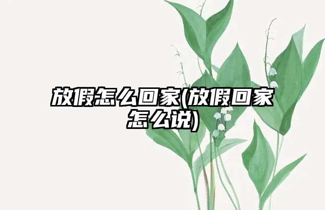 放假怎么回家(放假回家怎么說)