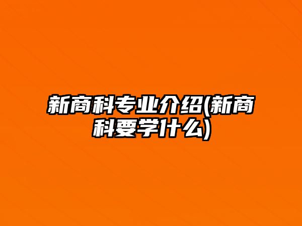 新商科專業(yè)介紹(新商科要學(xué)什么)