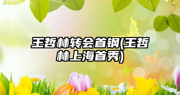 王哲林轉(zhuǎn)會(huì)首鋼(王哲林上海首秀)