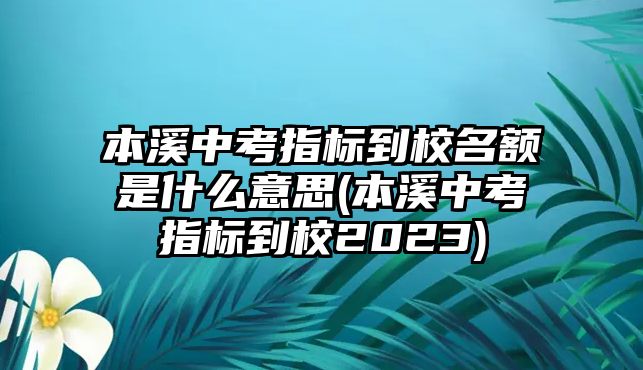 本溪中考指標到校名額是什么意思(本溪中考指標到校2023)