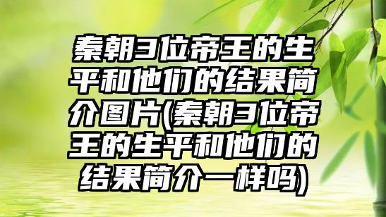 秦朝3位帝王的生平和他們的結(jié)果簡介圖片(秦朝3位帝王的生平和他們的結(jié)果簡介一樣嗎)