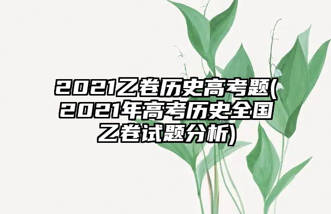 2021乙卷歷史高考題(2021年高考?xì)v史全國(guó)乙卷試題分析)