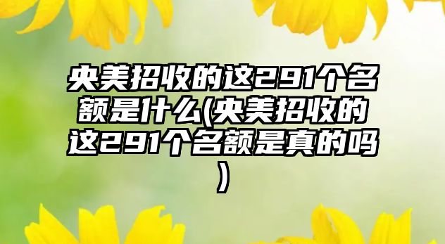 央美招收的這291個(gè)名額是什么(央美招收的這291個(gè)名額是真的嗎)