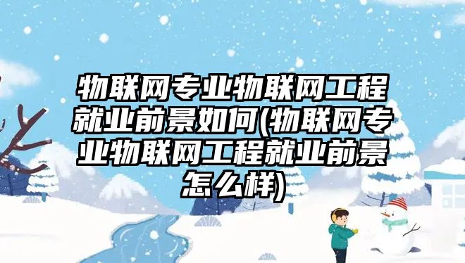 物聯(lián)網(wǎng)專業(yè)物聯(lián)網(wǎng)工程就業(yè)前景如何(物聯(lián)網(wǎng)專業(yè)物聯(lián)網(wǎng)工程就業(yè)前景怎么樣)