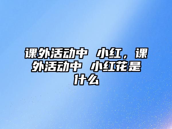 課外活動中 小紅，課外活動中 小紅花是什么