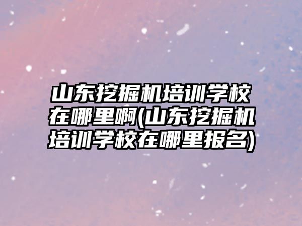 山東挖掘機(jī)培訓(xùn)學(xué)校在哪里啊(山東挖掘機(jī)培訓(xùn)學(xué)校在哪里報名)