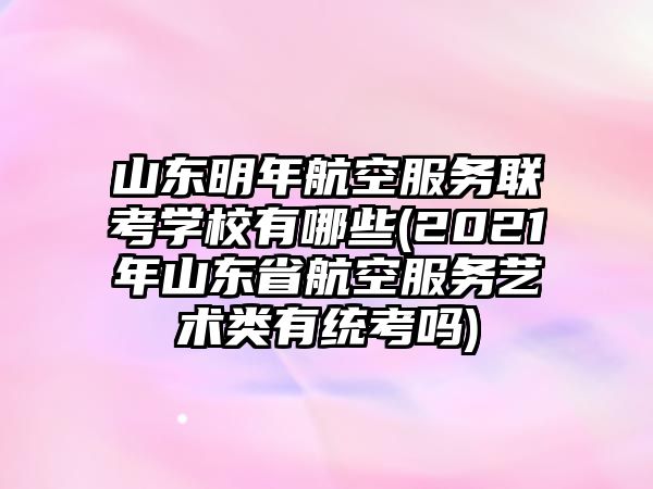 山東明年航空服務(wù)聯(lián)考學(xué)校有哪些(2021年山東省航空服務(wù)藝術(shù)類有統(tǒng)考嗎)