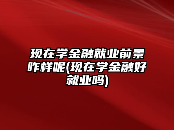 現(xiàn)在學金融就業(yè)前景咋樣呢(現(xiàn)在學金融好就業(yè)嗎)