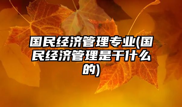 國民經(jīng)濟(jì)管理專業(yè)(國民經(jīng)濟(jì)管理是干什么的)