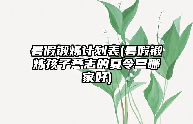 暑假鍛煉計劃表(暑假鍛煉孩子意志的夏令營哪家好)