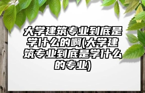 大學(xué)建筑專業(yè)到底是學(xué)什么的啊(大學(xué)建筑專業(yè)到底是學(xué)什么的專業(yè))