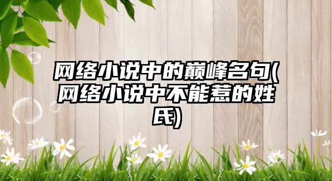 網絡小說中的巔峰名句(網絡小說中不能惹的姓氏)