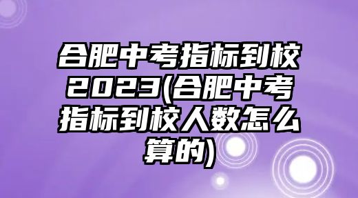 合肥中考指標到校2023(合肥中考指標到校人數(shù)怎么算的)