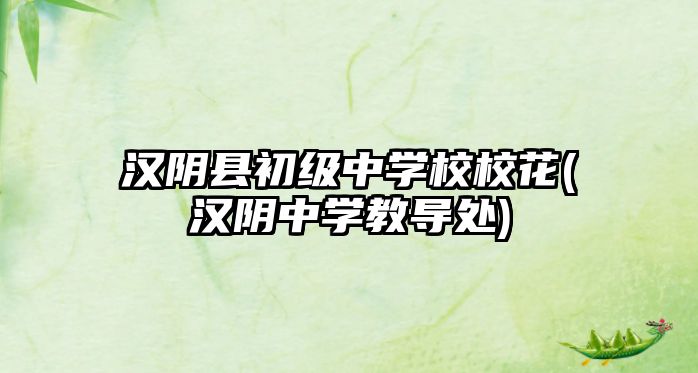 漢陰縣初級中學校?；?漢陰中學教導處)