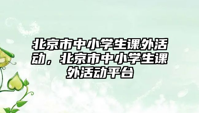 北京市中小學(xué)生課外活動，北京市中小學(xué)生課外活動平臺