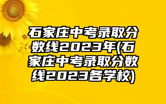 石家莊中考錄取分數(shù)線2023年(石家莊中考錄取分數(shù)線2023各學校)