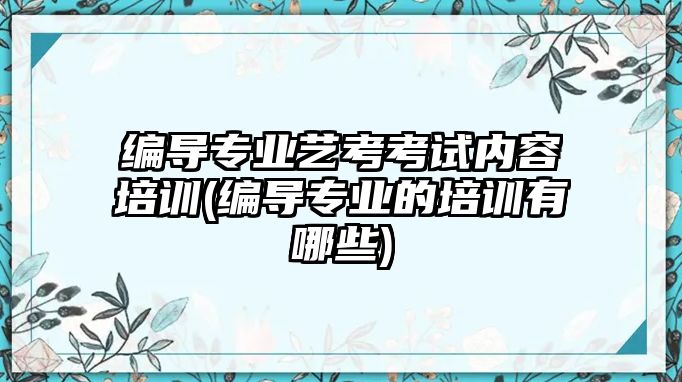 編導(dǎo)專業(yè)藝考考試內(nèi)容培訓(xùn)(編導(dǎo)專業(yè)的培訓(xùn)有哪些)