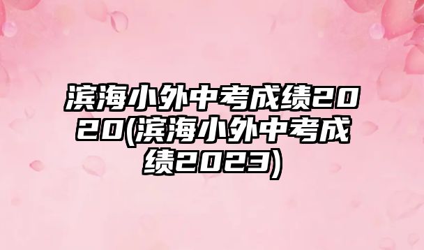 濱海小外中考成績2020(濱海小外中考成績2023)