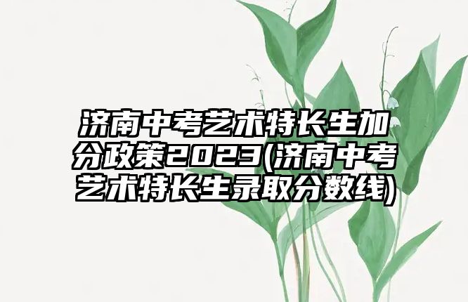 濟南中考藝術(shù)特長生加分政策2023(濟南中考藝術(shù)特長生錄取分數(shù)線)