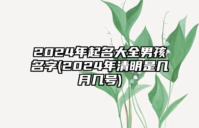 2024年起名大全男孩名字(2024年清明是幾月幾號)