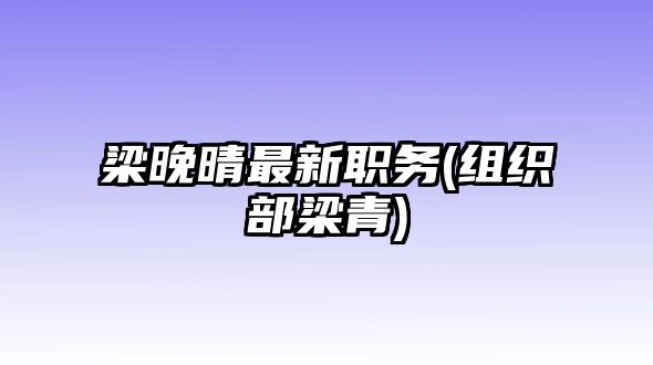 梁晚晴最新職務(組織部梁青)