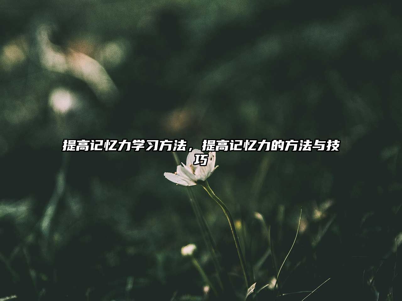 提高記憶力學習方法，提高記憶力的方法與技巧