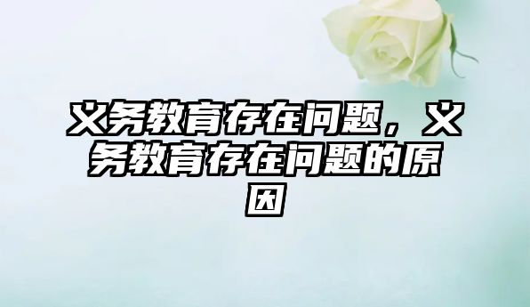 義務(wù)教育存在問題，義務(wù)教育存在問題的原因